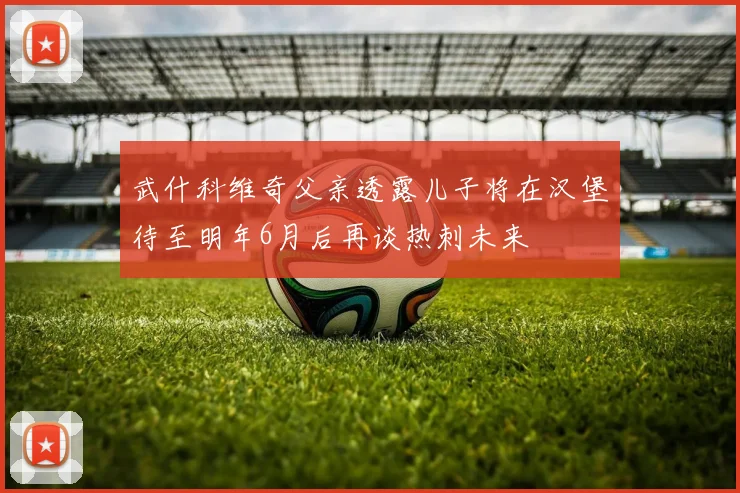 武什科维奇父亲透露儿子将在汉堡待至明年6月后再谈热刺未来